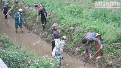 Son La : Le quartier de Chieng An met en œuvre de manière proactive des mesures de prévention et de contrôle de la sécheresse depuis le début du printemps.