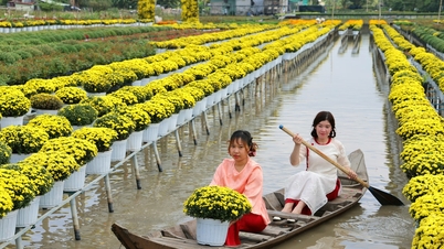 Millionen von Touristen strömten während des chinesischen Neujahrsfestes im Jahr des Pferdes zu den Frühlingsfestlichkeiten ins Mekong-Delta.