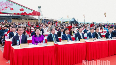 Un vibrante Festival Doi Son Tich Dien en la primavera del Año del Caballo 2026