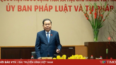 Formannen for nasjonalforsamlingen, Tran Thanh Man, besøker og samarbeider med komiteen for lov og rettferdighet.