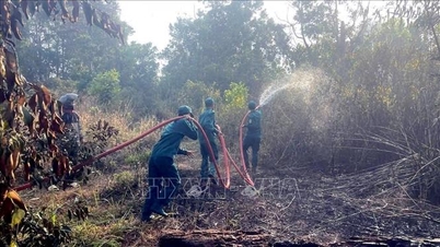 Die Provinz Lam Dong klärt die Brandursache auf, die 2,6 Hektar Wald entlang der Nationalstraße 28 zerstörte.