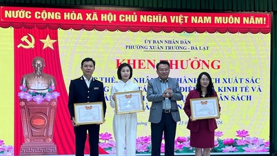 Xuan Truong وارڈ، Da Lat City نے 4 اجتماعی اور 17 افراد کو تعریفی اسناد سے نوازا۔