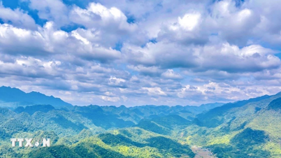 Du lịch rừng-biển hấp dẫn du khách những ngày đầu Xuân