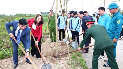 Οι τοπικές αρχές διοργανώνουν φεστιβάλ δενδροφύτευσης.