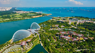 Singapour ajuste sa politique fiscale pour le secteur des entreprises et deux catégories de produits : les automobiles et le tabac.