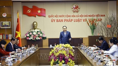 Tran Thanh Man, a Nemzetgyűlés elnöke együttműködik a Nemzetgyűlés ügynökségeivel.
