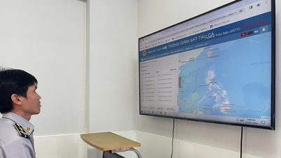 Lam Dong er et av 15 viktige steder for inspeksjon i toppperioden for IUU-fiske (ulovlig, urapportert og uregulert).