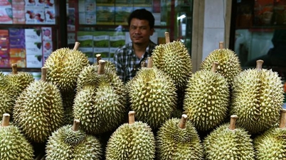 農業市場：タイはドリアンの供給過剰に対応する計画。