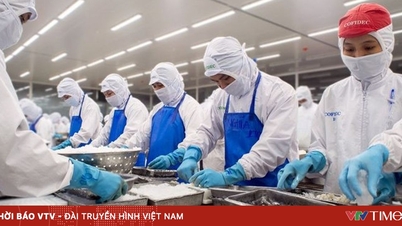 Податки на експорт в'єтнамських креветок до США були значно знижені після перегляду.