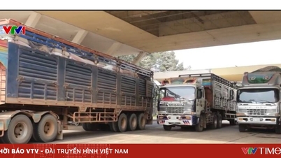 A mezőgazdasági import és export a déli országokban az év elején felpörög.