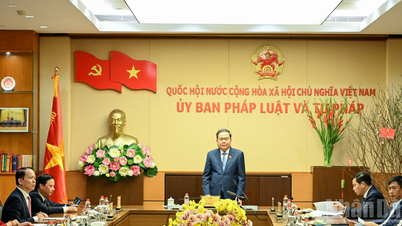 【写真】トラン・タン・マン国会議長が国会委員会や国家監査院を訪問し、活動する。