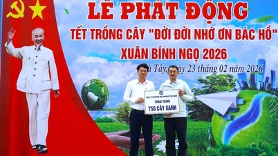 Makalot Vietnam Company donerade över 900 träd vid lanseringen av "Trädplanteringsfestivalen i evig tacksamhet till president Ho Chi Minh".