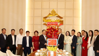 El presidente del Comité Popular de la ciudad de Da Nang, Pham Duc An, visita y extiende saludos de Año Nuevo a las empresas al comienzo del Año del Caballo.