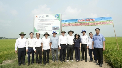 Líderes da província de Tay Ninh inspecionaram e visitaram unidades que atuam no setor agrícola.