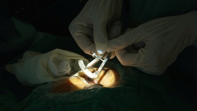 Delapan nyawa mendapat kesempatan hidup baru berkat donasi organ dari seorang pemuda yang mengalami mati otak.