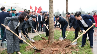 Bac Ninh rozpoczyna „Festiwal Sadzenia Drzew w ramach Wiecznej Wdzięczności Prezydentowi Ho Chi Minh”