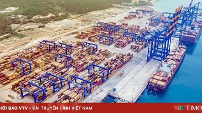 EU và Ấn Độ tạm dừng đàm phán thương mại với Mỹ