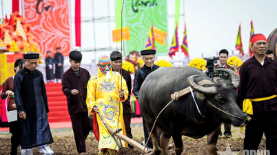 El vibrante Festival Doi Son Tich Dien en la primavera del Año del Caballo (2016)