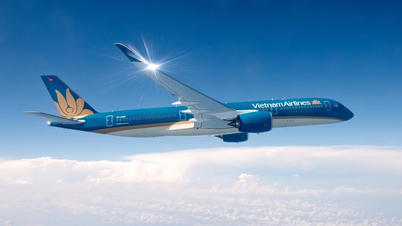 Vietnam Airlines invests in 50 Boeing 737-8 aircraft worth up to $8.1 billion, accelerating its fleet development strategy.