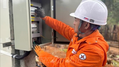 Le réseau électrique a fonctionné de manière sûre et stable pendant les vacances du Nouvel An lunaire.