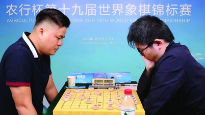 The Chinese chess community fears a second 'loss of face' at the hands of Lai Ly Huynh.