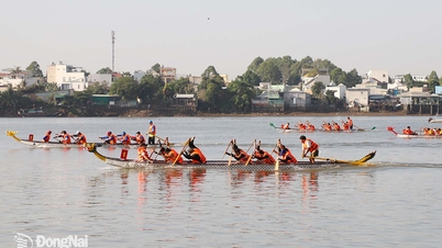 Spreading the image of Dong Nai through festivals.
