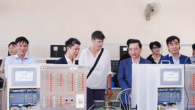 Autonomía universitaria: Innovación y mejora de la calidad formativa.