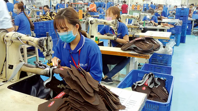 Indicele național al producției industriale (PII) a crescut cu 21,5% față de aceeași perioadă a anului trecut.