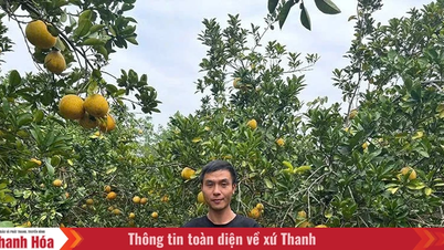 Keinginan untuk memulai bisnis di wilayah yang penuh tantangan.