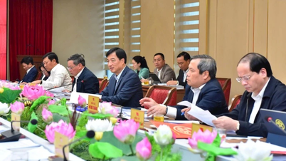 Assessing the situation and results of organizing services for the people during the Lunar New Year 2026.