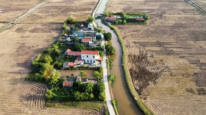 Condições para a emissão inicial de certificados de direito de uso da terra e regulamentos sobre a isenção de taxas de uso da terra de acordo com a Lei de Terras de 2024.