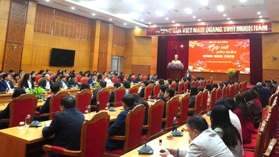 Phan Thăng An tartományi párttitkár találkozott a Tartományi Pártbizottság, a Tartományi Népi Tanács, a Tartományi Nemzetgyűlési Küldöttség és a Tartományi Népi Bizottság tanácsadó és támogató szerveinek tisztviselőivel, köztisztviselőivel és alkalmazottaival.