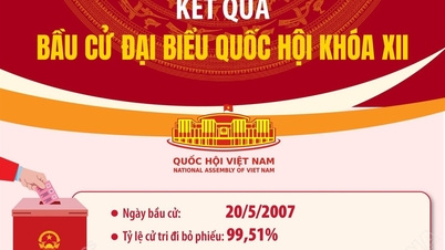 (Інфографіка) Результати виборів депутатів до 12-го скликання Національних зборів