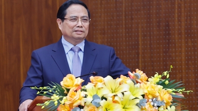 Projev premiéra Phama Minha Chinha na setkání s vědci z Vietnamské akademie věd a technologií.