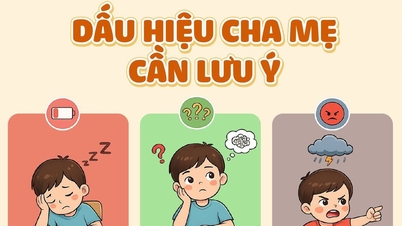 Ways to help children quickly return to their study and daily routines after Tet.