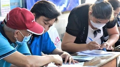 ¿Es necesario verificar información para recibir ayuda para la inserción laboral cuando se expropia un terreno?