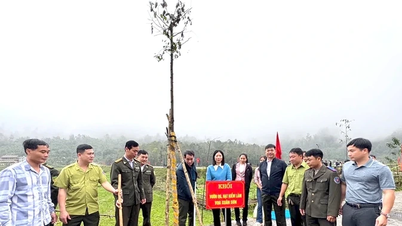 Upaya untuk Vietnam yang Hijau