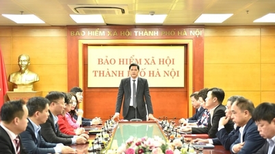 Hanoi Social Insurance is determined to complete its social security tasks in 2026.