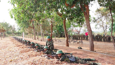 The 64th Regiment affirms the spirit of a heroic unit.