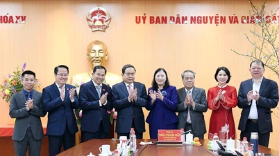 El presidente de la Asamblea Nacional, Tran Thanh Man, trabaja con el Comité de Peticiones Ciudadanas y Supervisión.