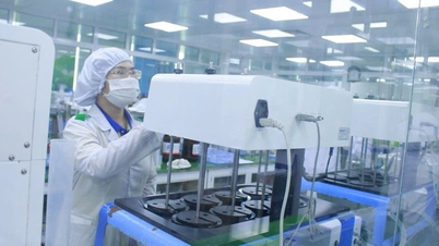 Fakultas Kedokteran Universitas Nasional Vietnam Kota Ho Chi Minh hanya akan merekrut mahasiswa melalui satu metode pada tahun 2026.