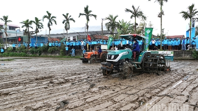 Implementering av en högeffektiv och utsläppssnål risodlingsmodell i Ninh Binh.