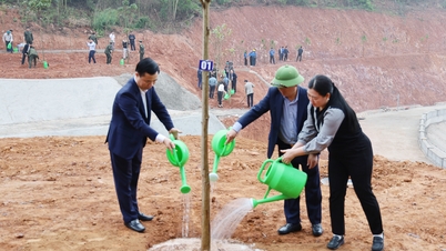 Jabatan Pertanian dan Alam Sekitar: Melancarkan Festival Penanaman Pokok