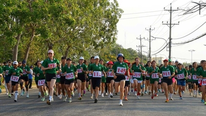 לאם דונג: טיפוס הרים מרגש ב-Ta Cu Open 2026