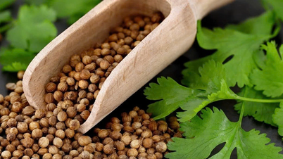 امروز روز جهانی نفرت از گشنیز است.