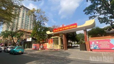 Se ha tomado la decisión final de ubicar el Museo de Historia de la Ciudad de Hue cerca del Puente Truong Tien.