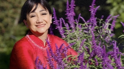 Merituoasa artistă Thanh Thanh Tâm se întoarce în Vietnam pentru a-și susține spectacolul live „Sentimente de țară”.