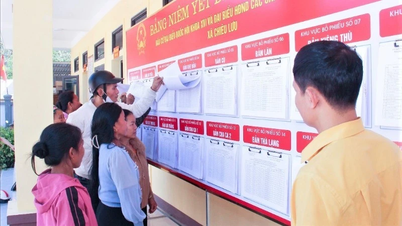 [Q&A] How are elections organized in early voting areas?