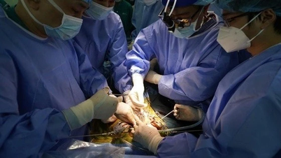 Das Wunder der Organtransplantation in Vietnam geht weiter.