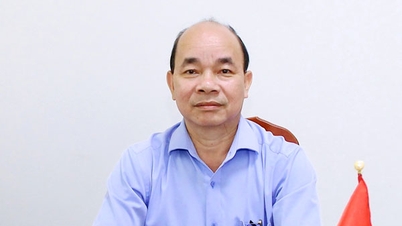 경제 센서스는 해당 주의 발전을 위한 데이터 기반을 제공합니다.
